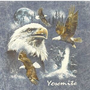 Vintage Prairie Mountain Yosemite Bald Eagle Graphic TShirt  XL 100% Cotton Blue